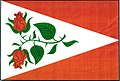 {{{rasmiy_nomi}}}ning bayrogʻi