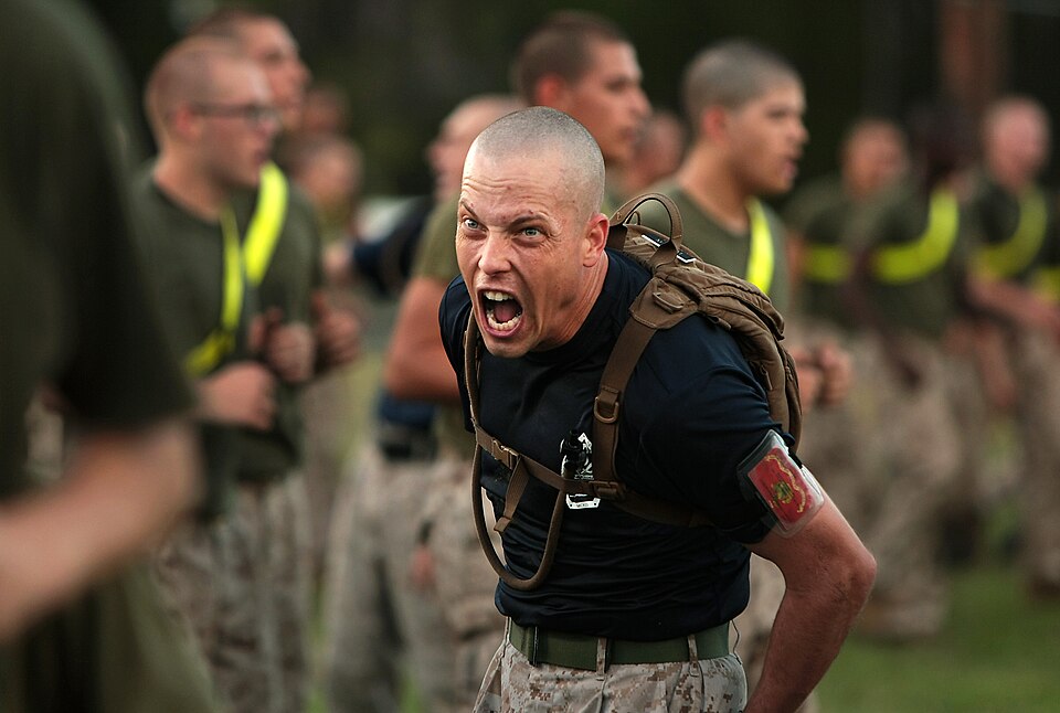 Fayl:Basic Motivation (9823421565).jpg