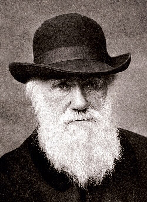 Fayl:Charles Darwin 1880.jpg