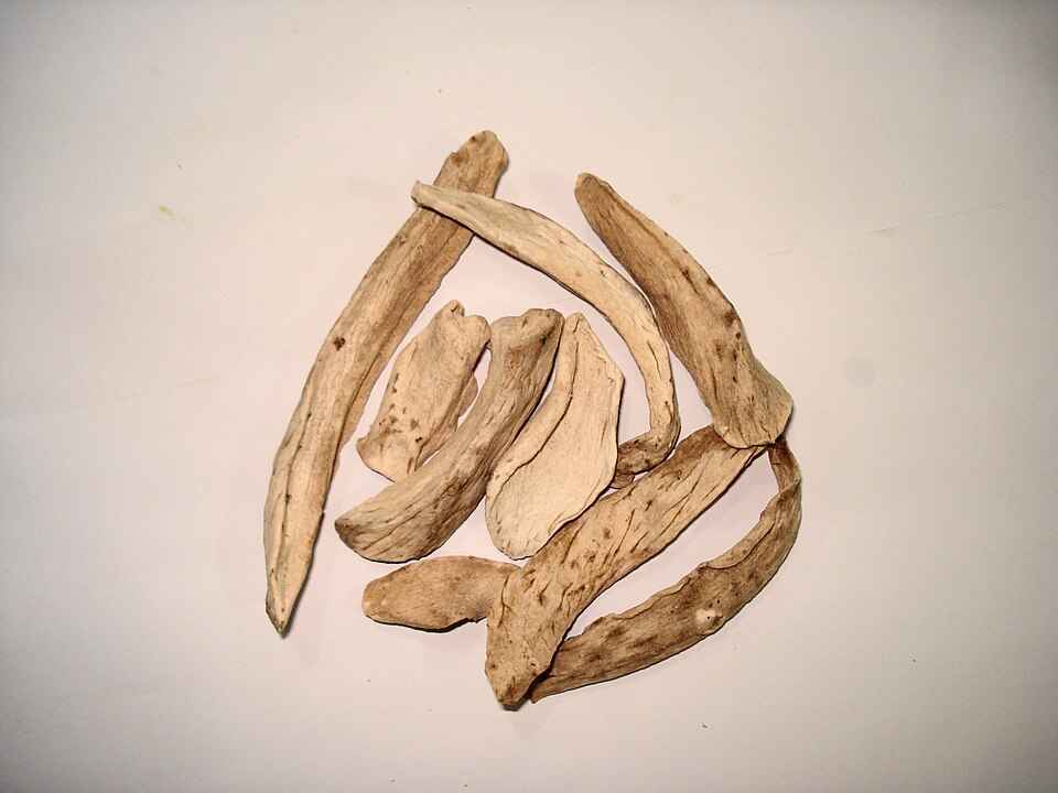 Fayl:Dried Mango Slices.JPG