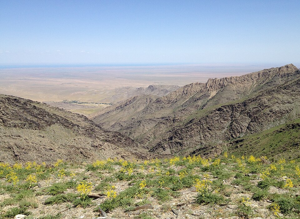 Fayl:Nuratau mountains and Aydar lake.jpg