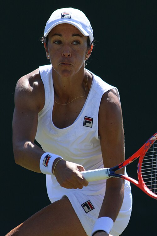 Fayl:Soler Espinosa WMQ18 (7) (42833913204).jpg