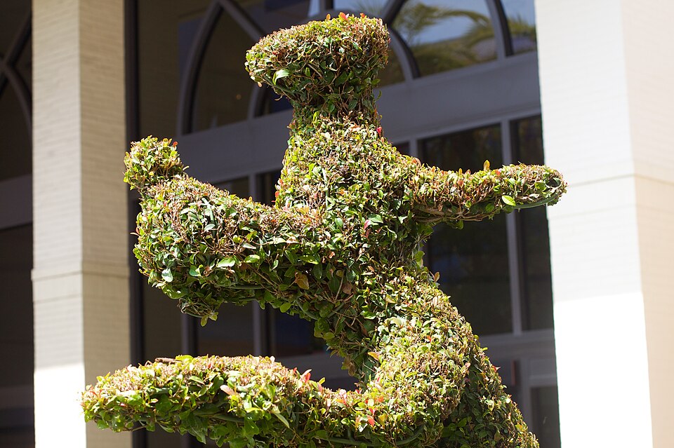 Fayl:2010-365-158 Goofy Bush (4681671250).jpg
