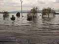 00:11, 2022-yil 9-oktyabr dagi versiya uchun tasvir