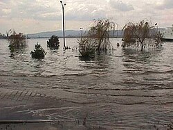 Kichik to‘lqin ko‘tarilishiga sabab bo‘lgan tsunami to‘lqini