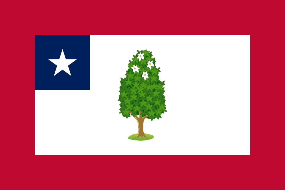 Fayl:Flag of Mississippi (1861-1865).svg