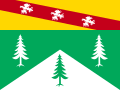 {{{rasmiy_nomi}}}ning bayrogʻi