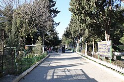 Mardakon Arboretum.