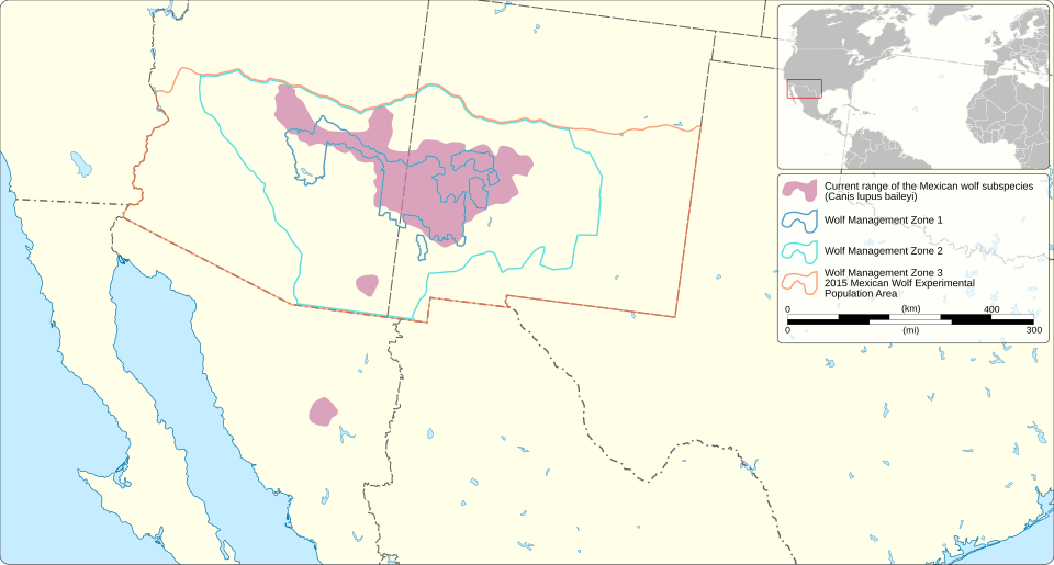 Fayl:Mexican gray wolf distribution 2023.svg