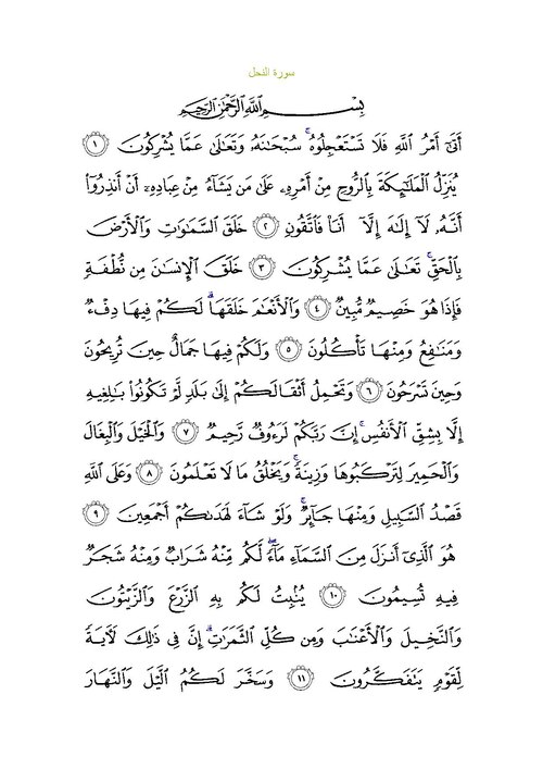 Fayl:Sura16.pdf