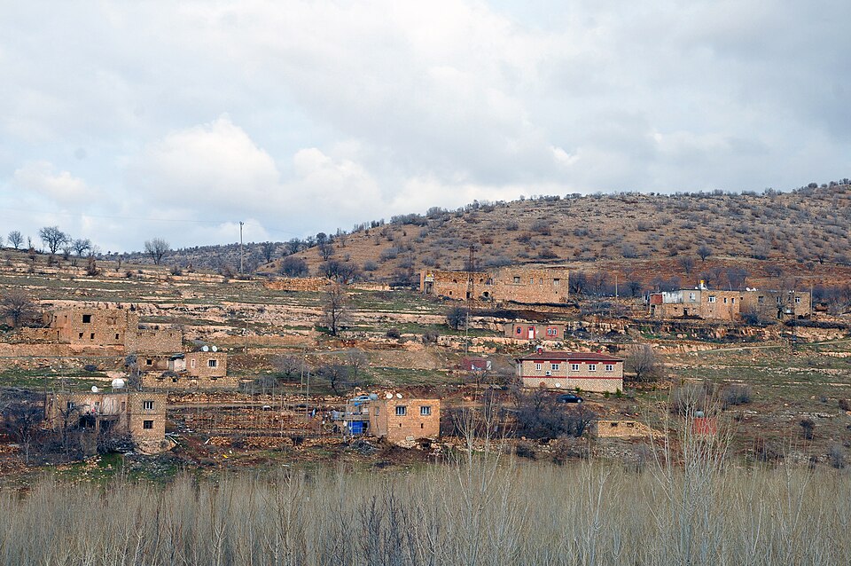 Fayl:Şêxan-1.jpg