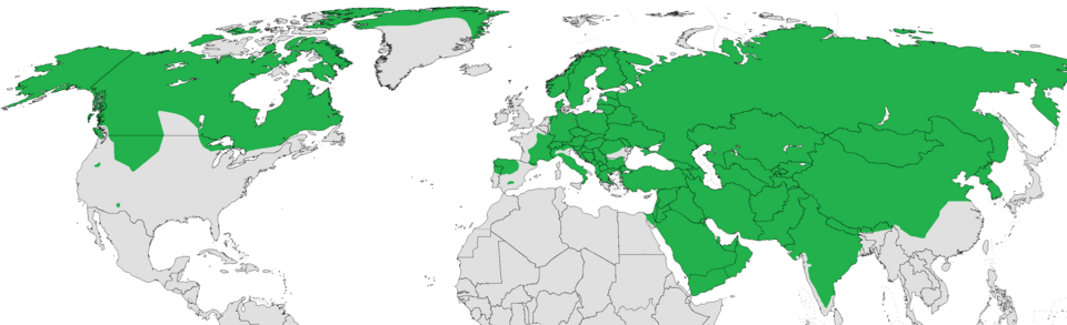 Fayl:Canis lupus distribution (IUCN).png
