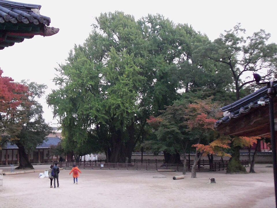 Fayl:Old Sungkyunkwan.JPG