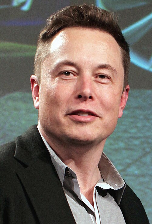 Fayl:Elon Musk 2015.jpg