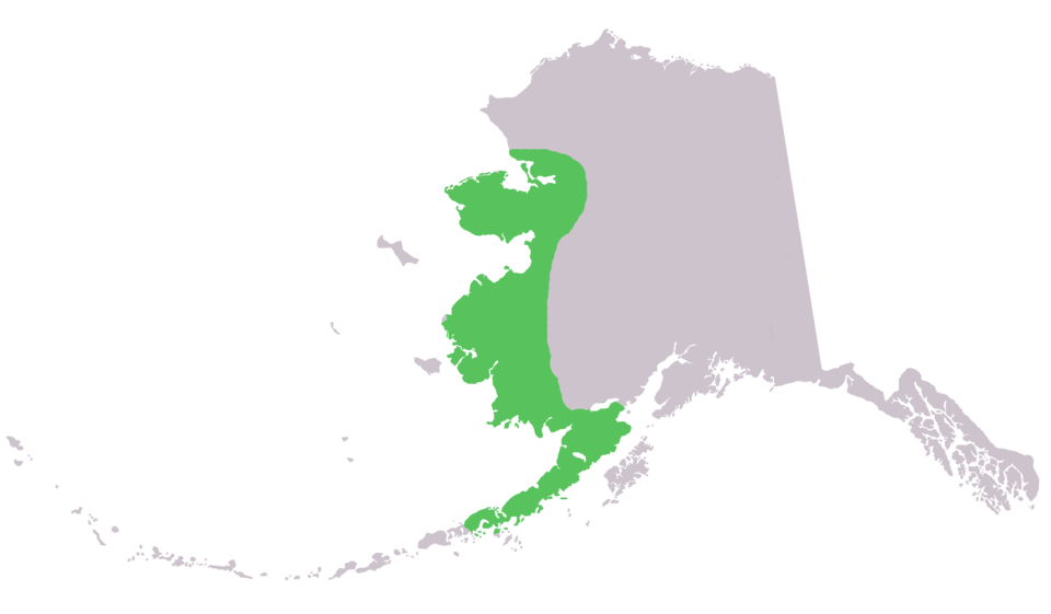 Fayl:Lepus othus range in ak.png
