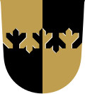 Varpaisjärvi