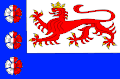 Flag of Vidice