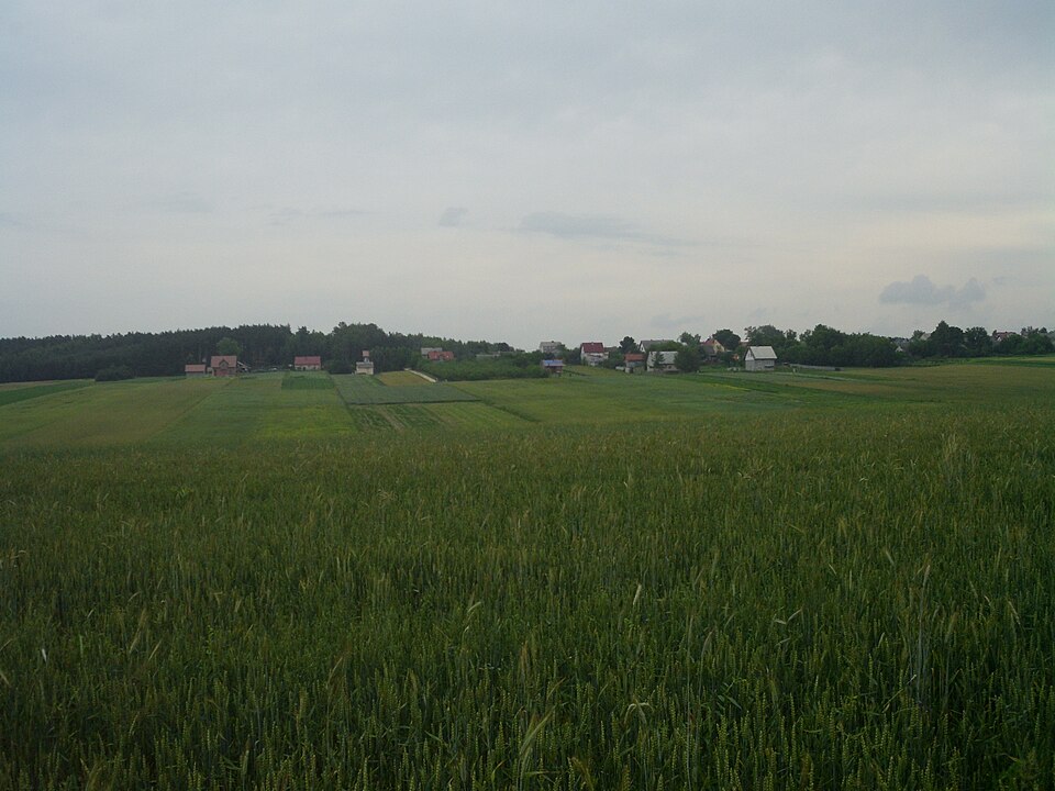 Fayl:Gorki Pinczow County.JPG