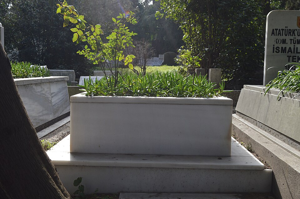 Fayl:Grave of Duygu Asena (1946-2006).jpg