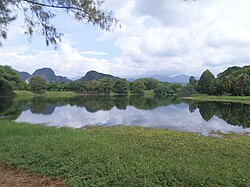 Skyline of Perak State Herb Park