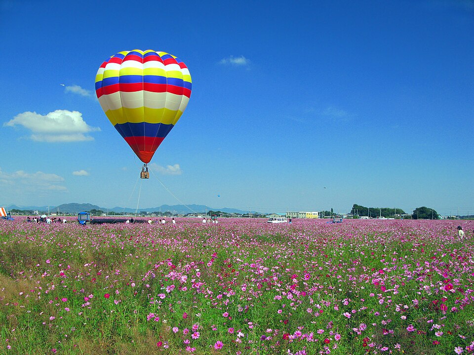 Fayl:Itakura Cosmos Festival 1.jpg