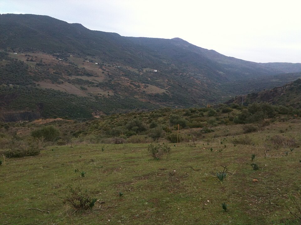 Fayl:La vallée de Adjissa.JPG
