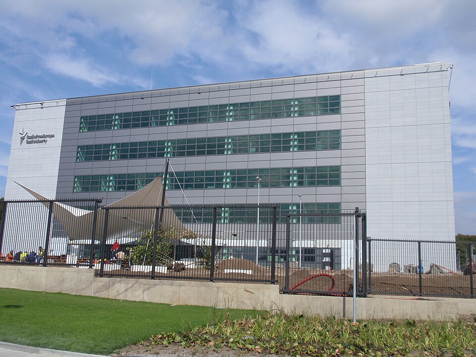 Fayl:RFE RL building construction.jpg