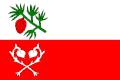 Flag of Sosnová