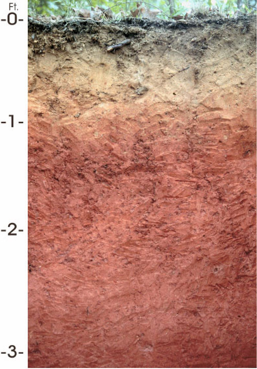 Fayl:Bama soil.png