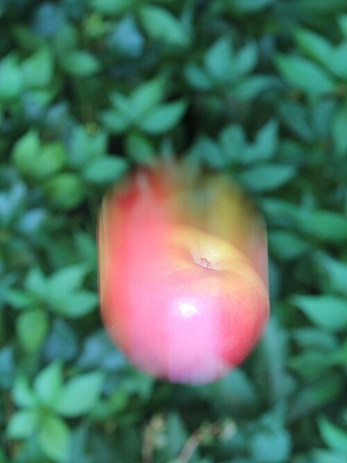 Fayl:Falling apple crop.jpg