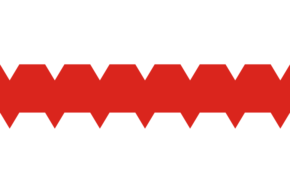 Fayl:Flag of Omsk.svg