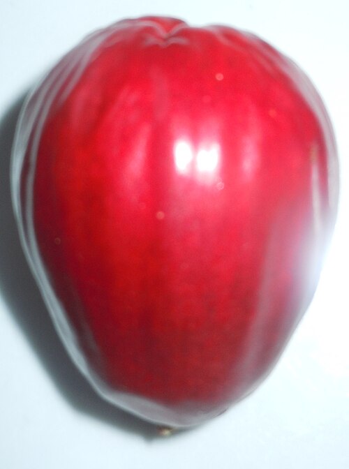 Fayl:Pommerac.whole.jpg