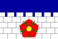 Flag of Borovany