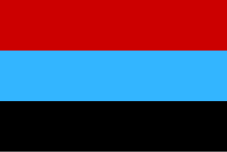 Odin iz flagov, primenyavshixsya na mitingax (Flag „Interdvijeniya“ s proporsiey 2∶3)