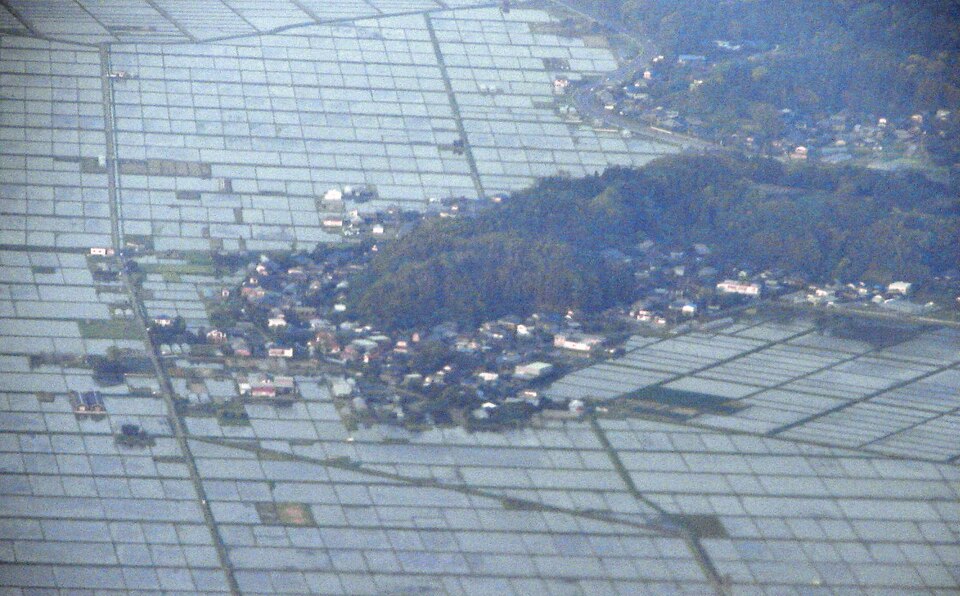 Fayl:Hikari Chiba.JPG
