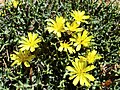 17:14, 2014-yil 18-sentyabr dagi versiya uchun tasvir