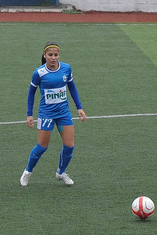 Fayl:SevgiÇınar02.JPG