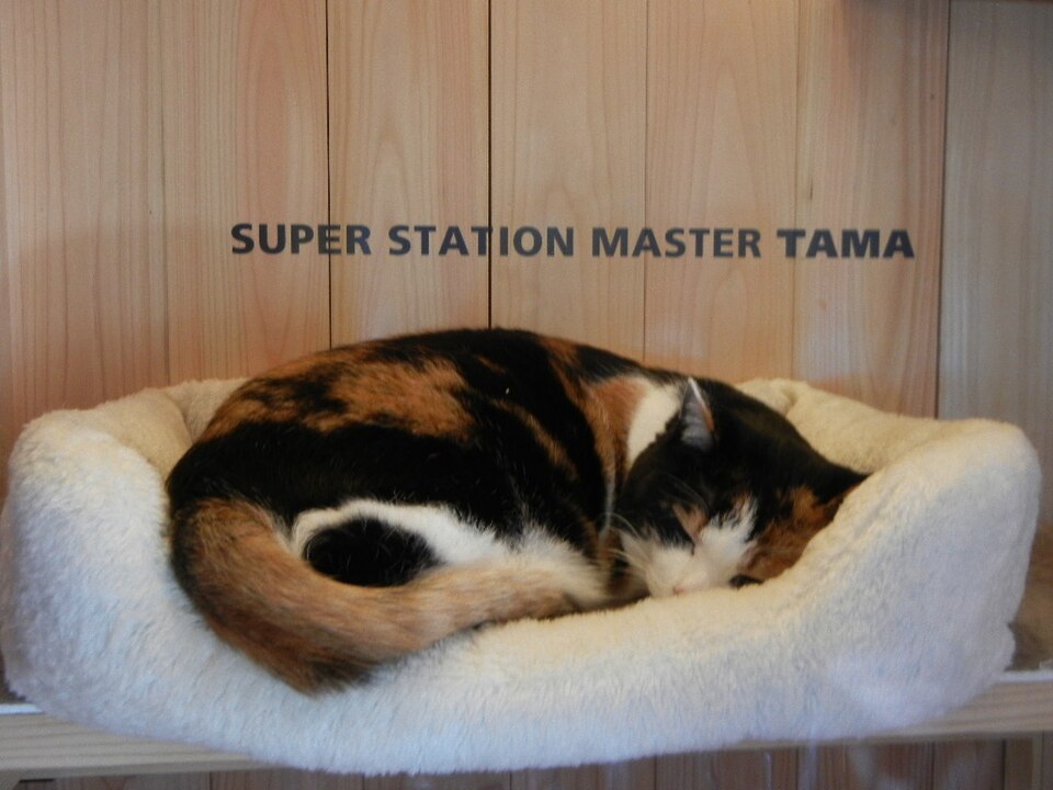 Fayl:Super Station Master TAMA.JPG