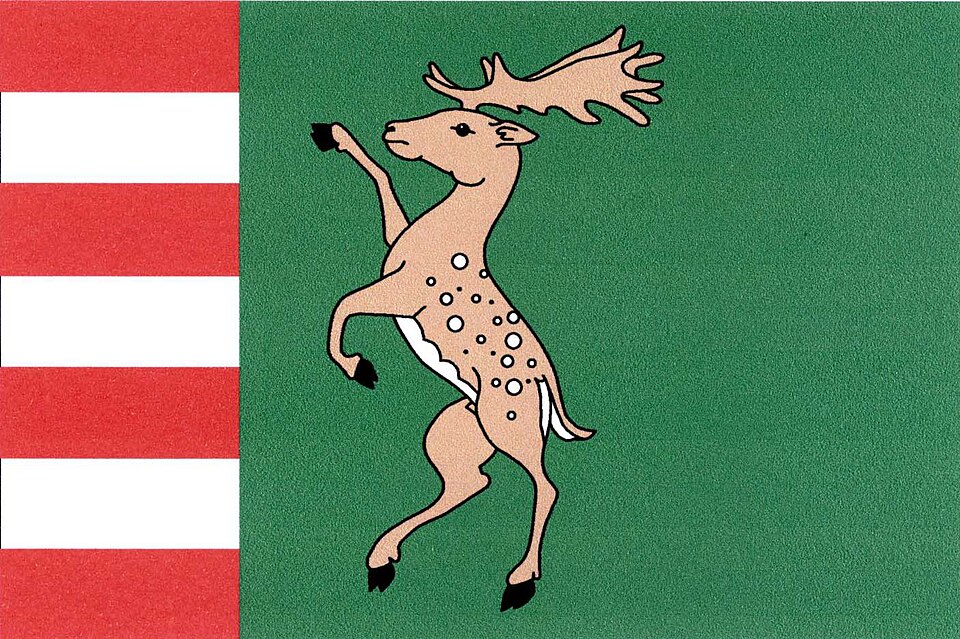 Fayl:Okounov flag.jpg