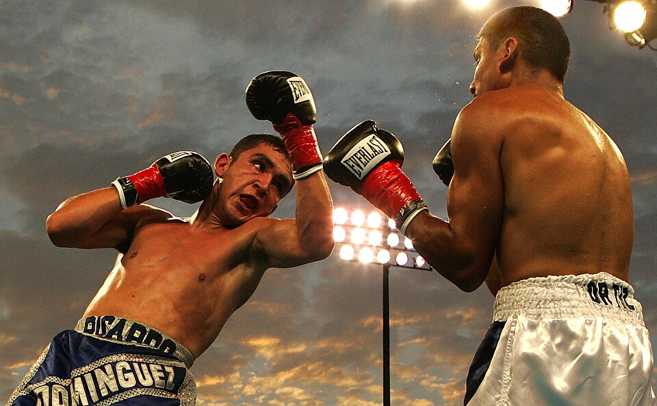 Fayl:Boxing080905 photoshop.jpg