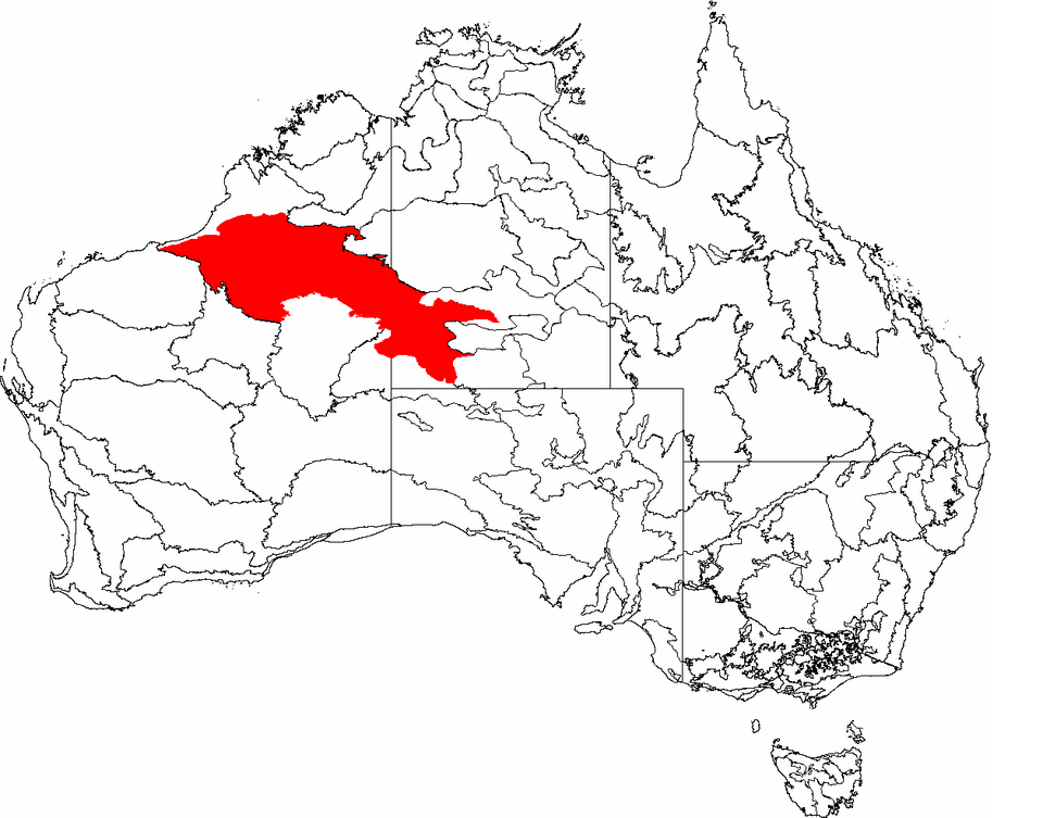 Fayl:IBRA 6.1 Great Sandy Desert.png