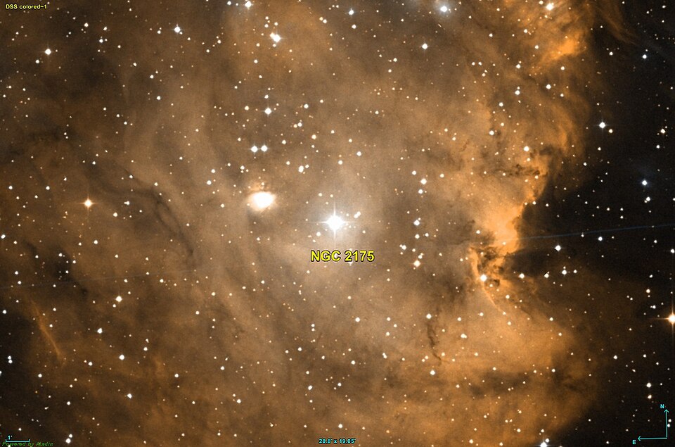 Fayl:NGC 2175 DSS.jpg