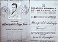 Shatorovning Yugoslav qogʻozi