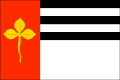{{{rasmiy_nomi}}}ning bayrogʻi
