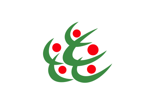 Fayl:Flag of Kitakata, Fukushima.svg