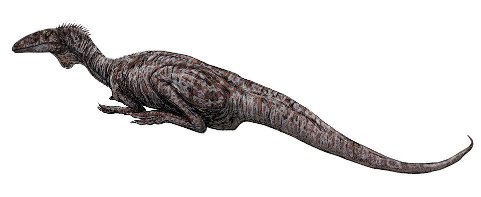 Fayl:Zupaysaurus.jpg