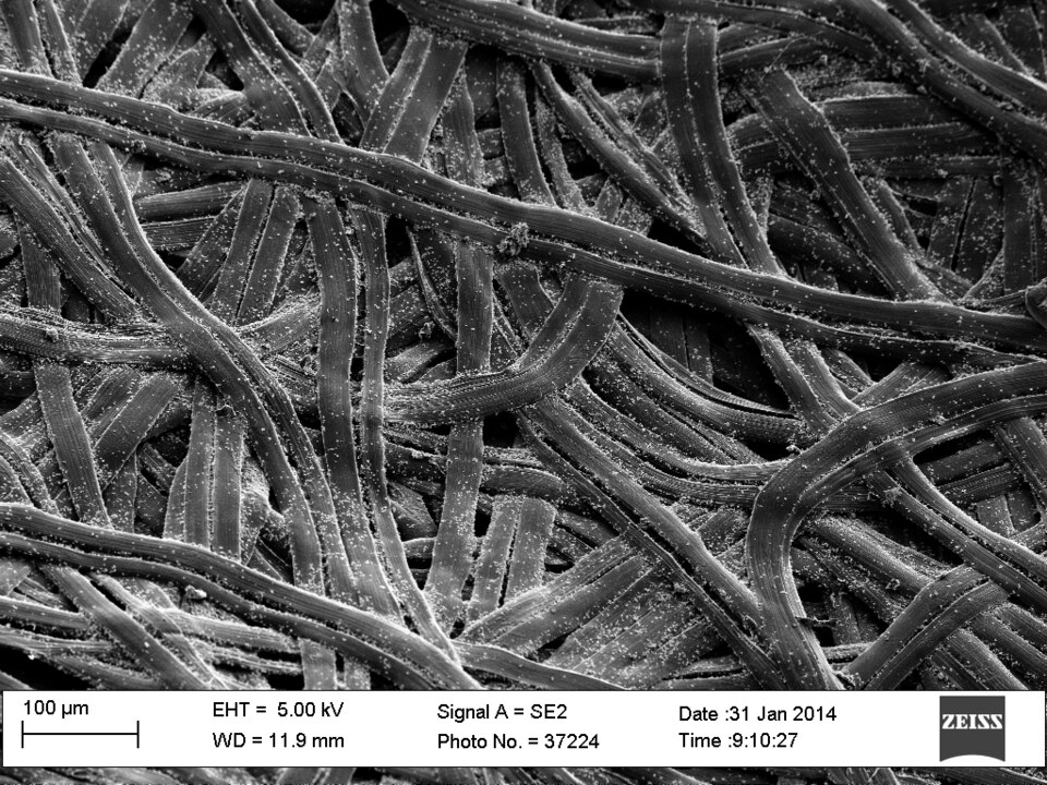 Fayl:Carbon fibers from silk cocoon.tif