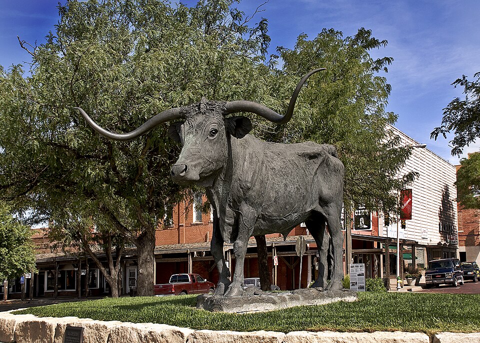 Fayl:Dodge City Longhorn.jpg