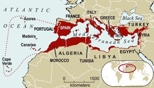 Fayl:Mediterranean Basin Hotspot 2005 Print.tif