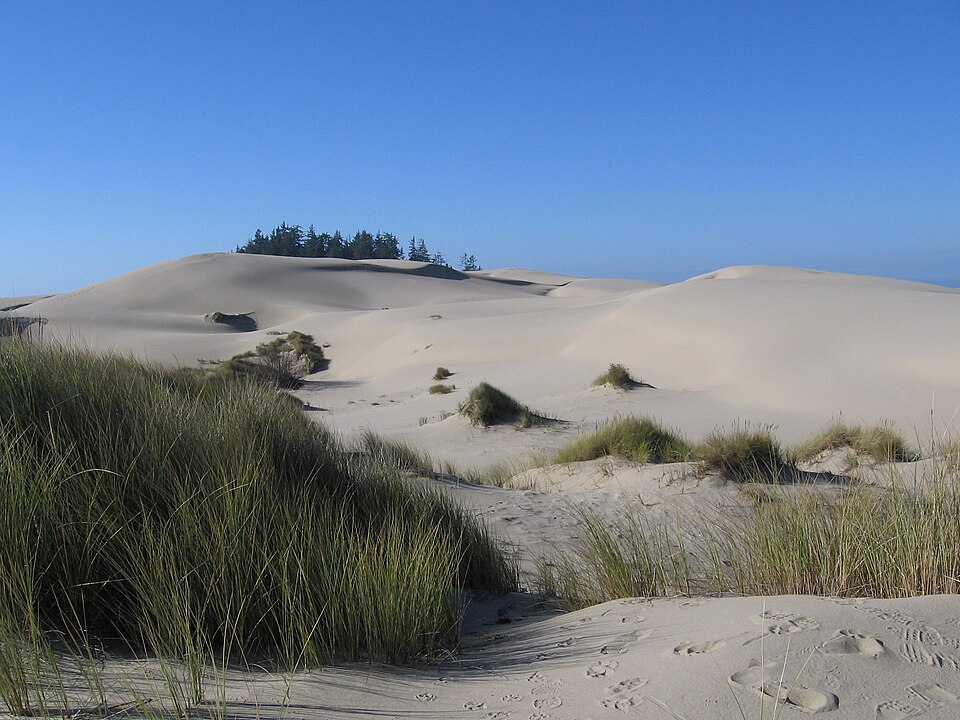Fayl:USA Oregon Dunes.jpg
